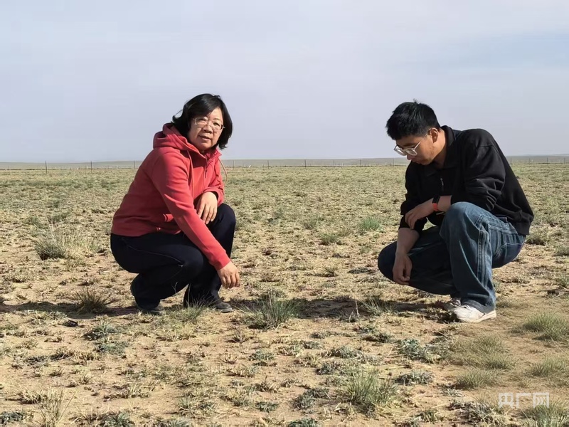 智汇草原·筑梦北疆｜他们，用忠诚和智慧在北疆大地谱写奋斗华章