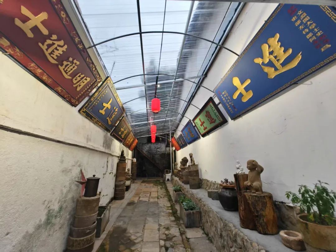 走“进士巷”　寻“学神”登科密码