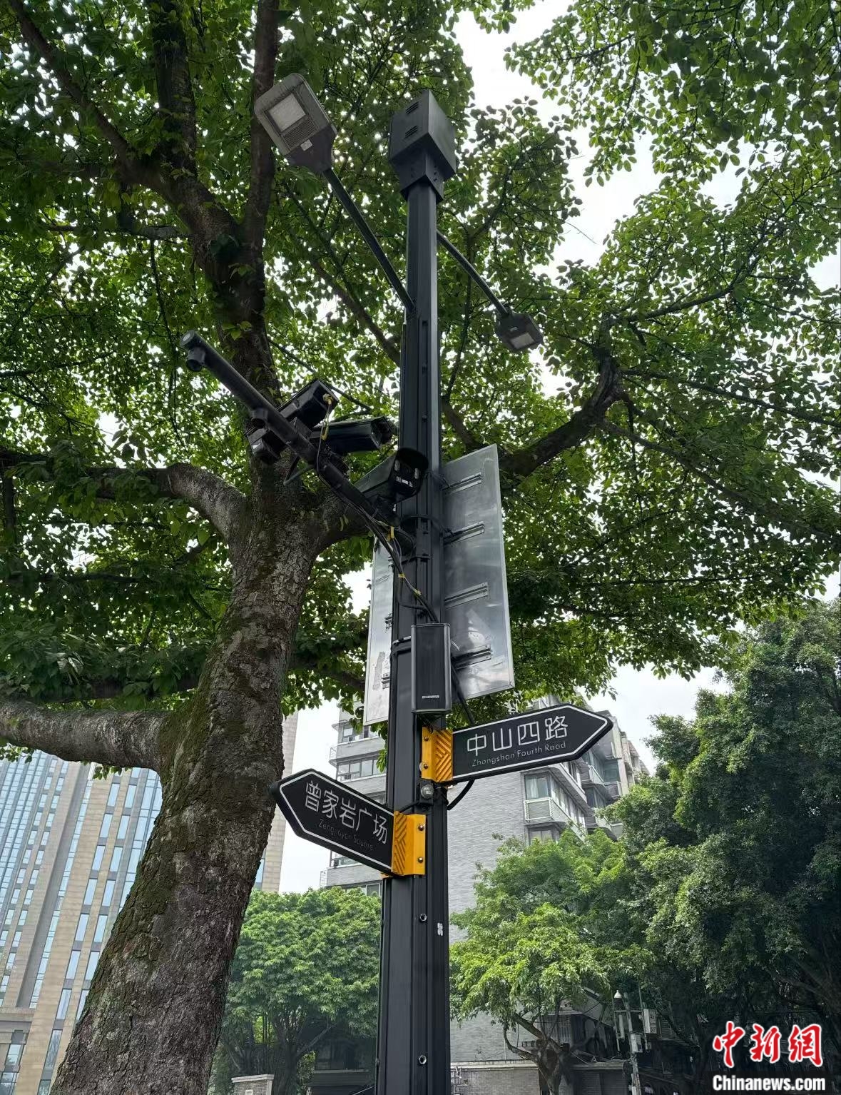 城市掌灯、5G基站……重庆“最美街道”智慧灯杆秀出新花样