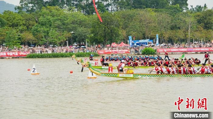粤港澳大湾区50余支龙舟队广州南沙竞速