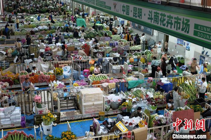 昆明斗南花市端午假期人气旺