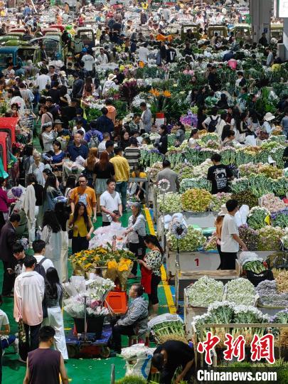 昆明斗南花市端午假期人气旺