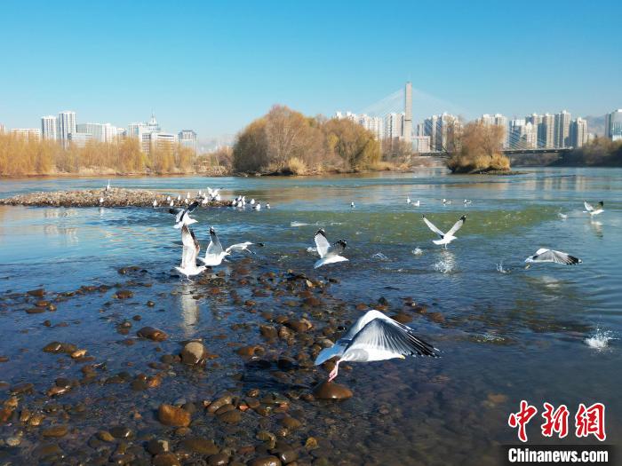 甘肃建成“天空地”一体化生态环境质量监测网络