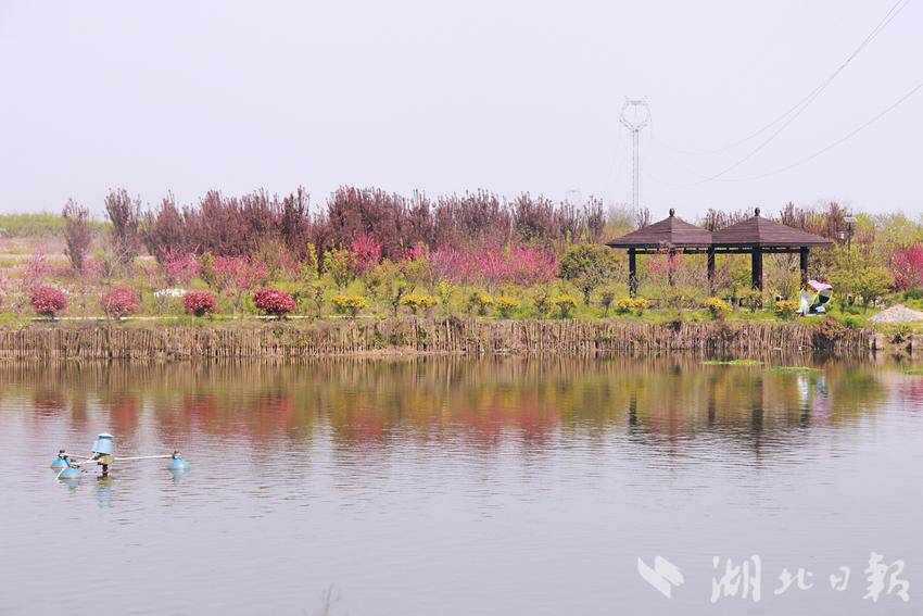 红色引领的美丽嬗变