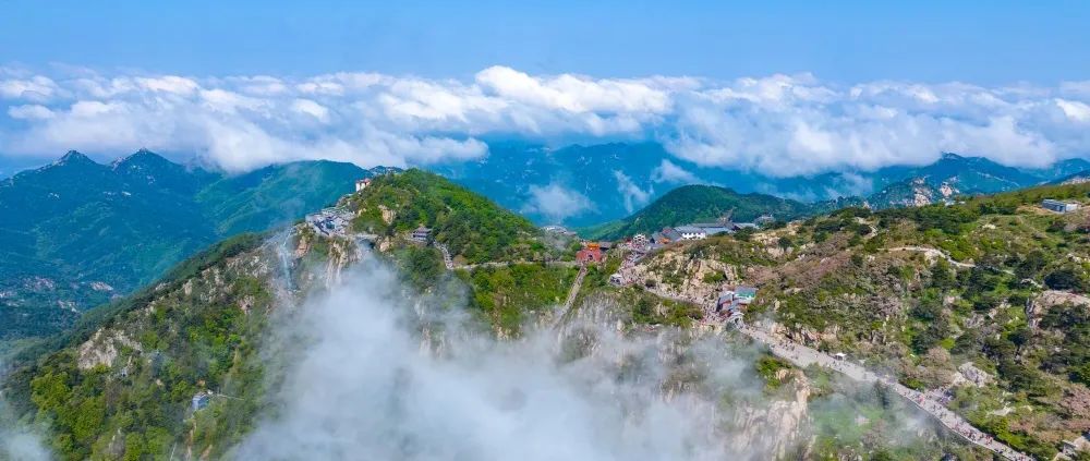 每日开行！乘“齐鲁1号”畅游山东