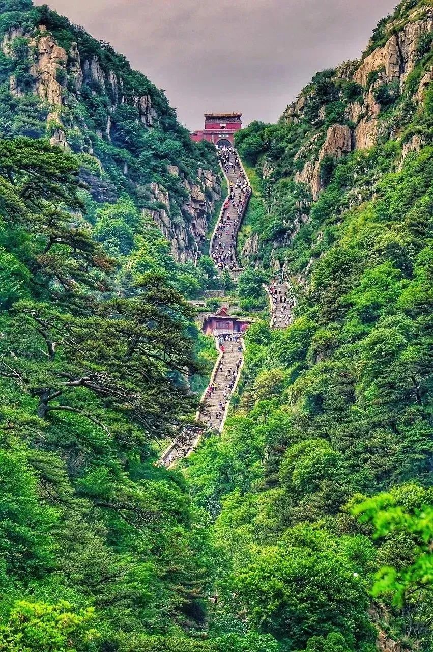 每日开行！乘“齐鲁1号”畅游山东