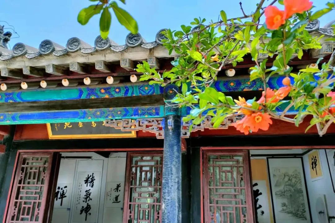 每日开行！乘“齐鲁1号”畅游山东