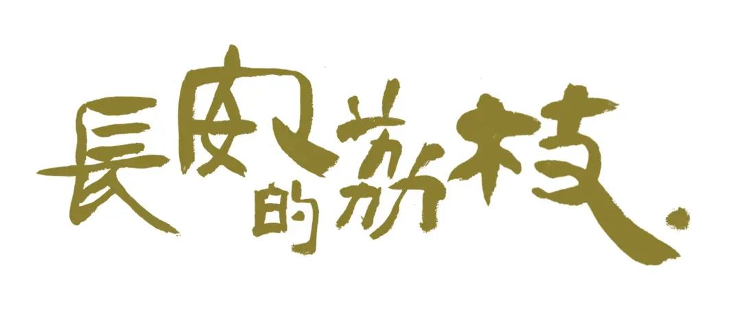 《长安的荔枝》爆了，长安的同款竟然在宁波！