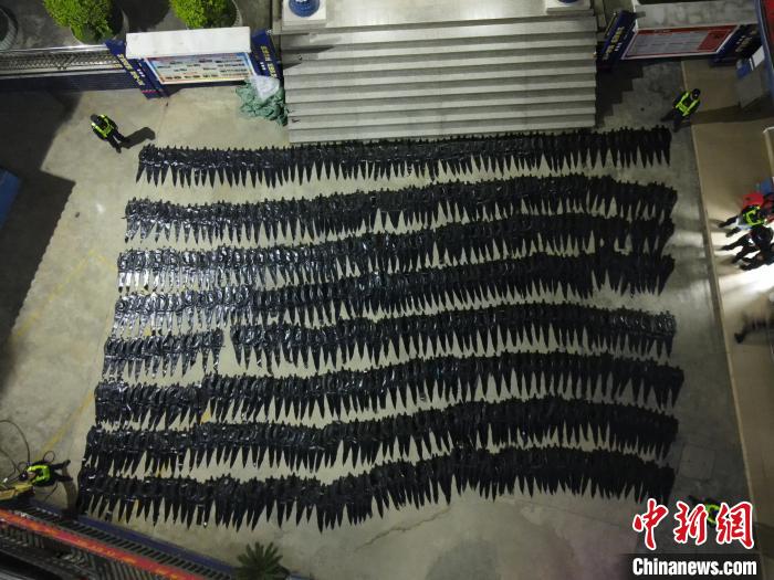 广西边境警方查获598张走私鳄鱼皮制品