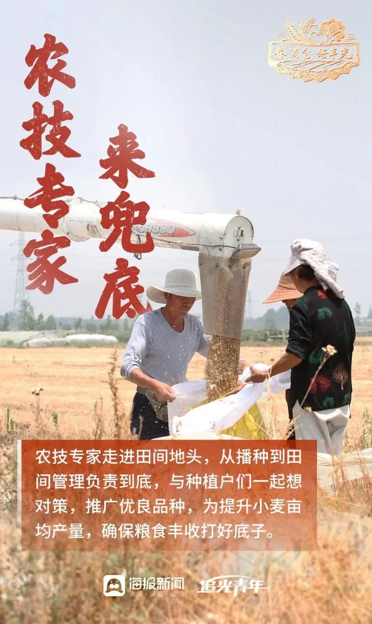 粮满仓·好丰光丨丰收里的齐鲁