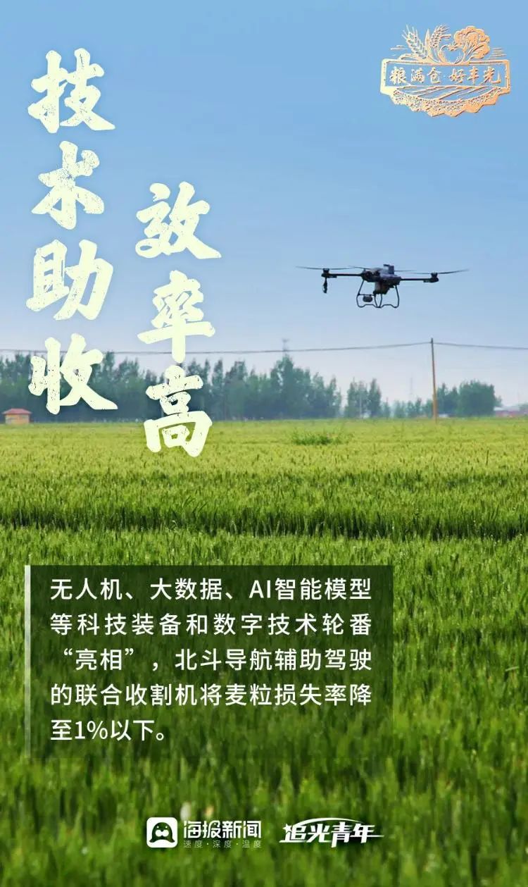 粮满仓·好丰光丨丰收里的齐鲁