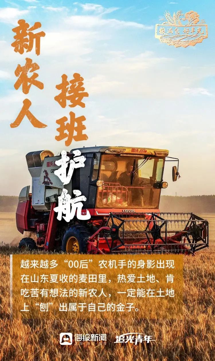 粮满仓·好丰光丨丰收里的齐鲁