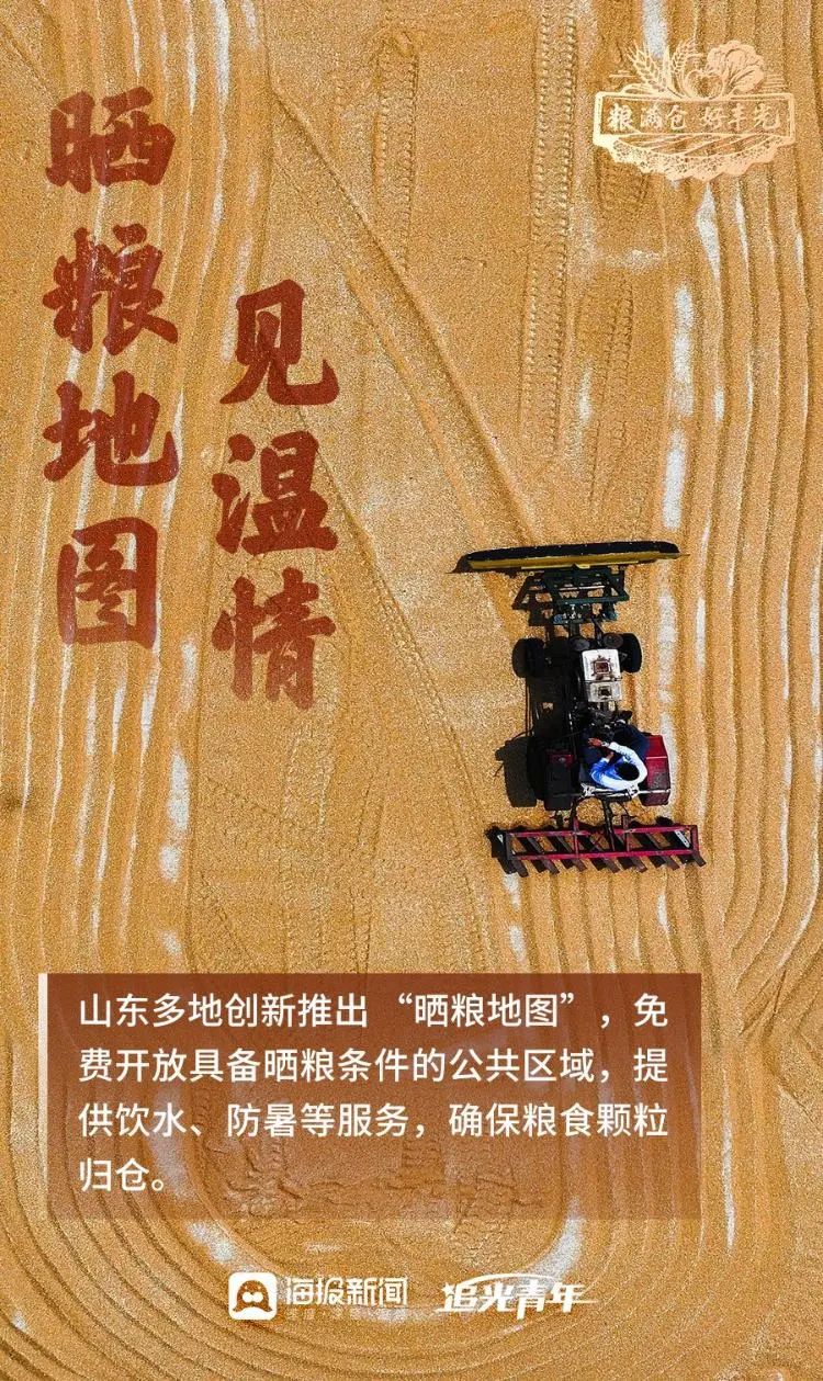 粮满仓·好丰光丨丰收里的齐鲁