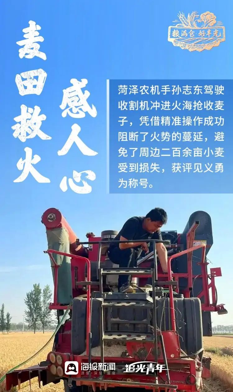 粮满仓·好丰光丨丰收里的齐鲁