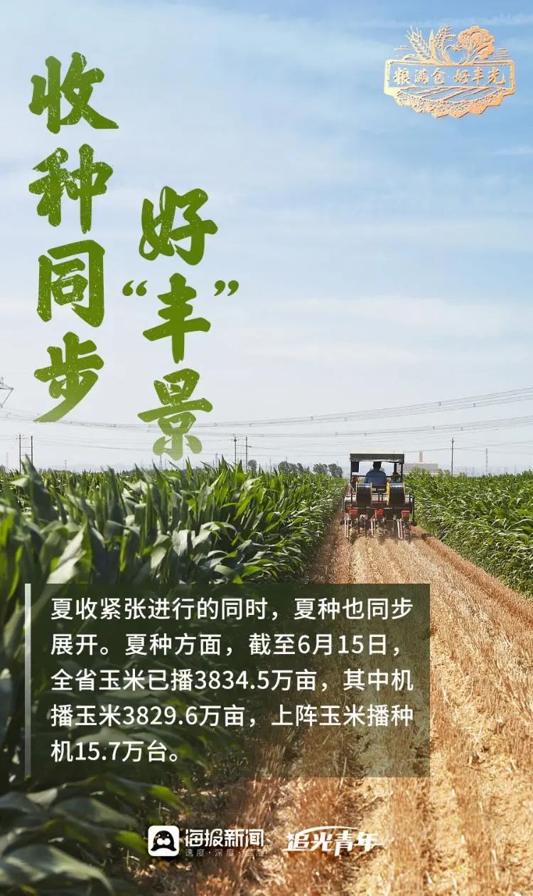 粮满仓·好丰光丨丰收里的齐鲁