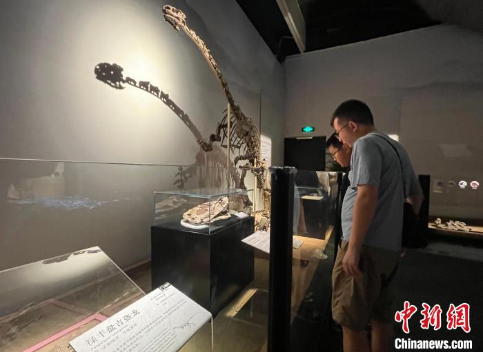 缘起恐龙展 沪滇展开科普、文旅“双料合作”