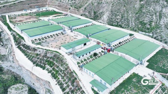 青岛与陇南、定西携手共进，奏响“山海协作”新乐章