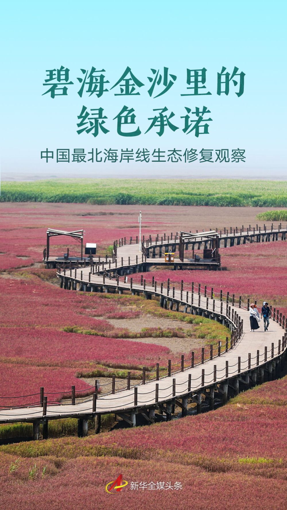 碧海金沙里的绿色承诺——中国最北海岸线生态修复观察
