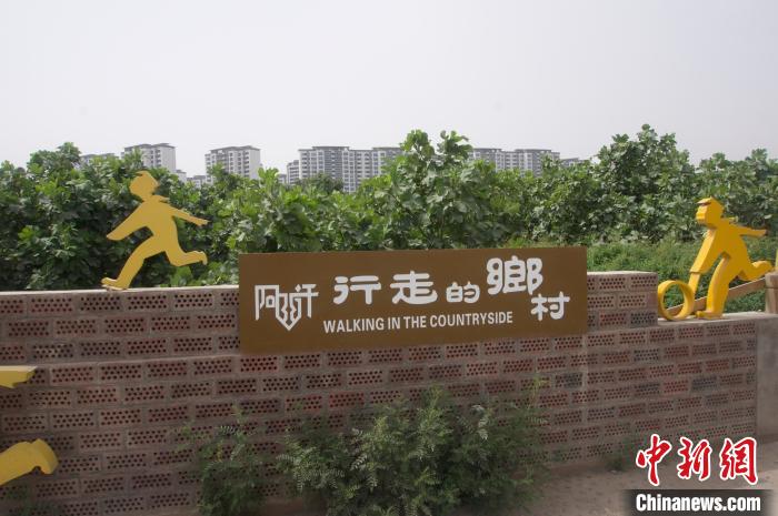 （走进中国乡村）新疆西部有条“无花果风情街”