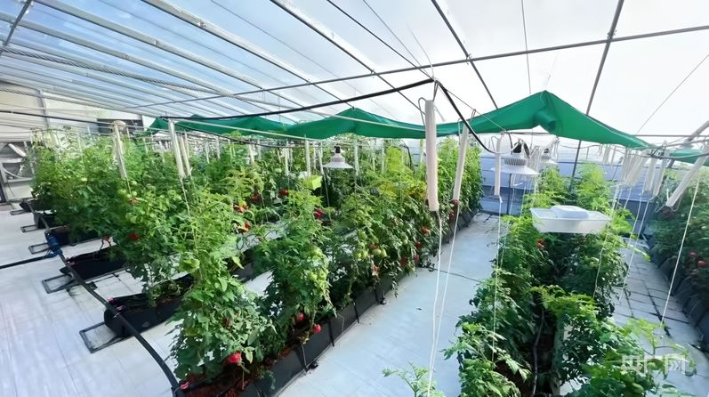 天津乘“数”而上打开高质量发展新空间