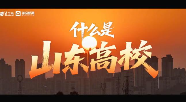 什么是山东高校? 什么是山东高校?