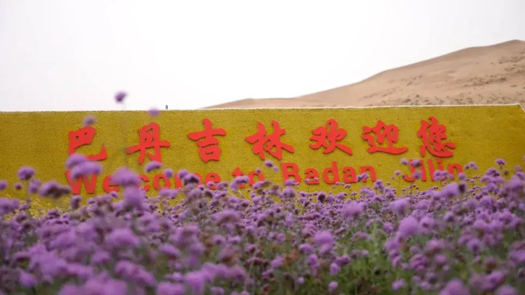 申遗成功一周年丨早知巴丹吉林美，何必千里下江南