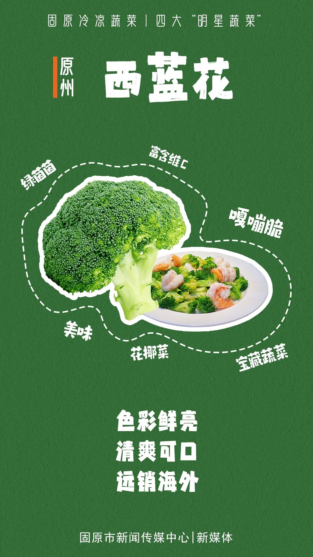 固原冷凉蔬菜，凭啥“C”位出道