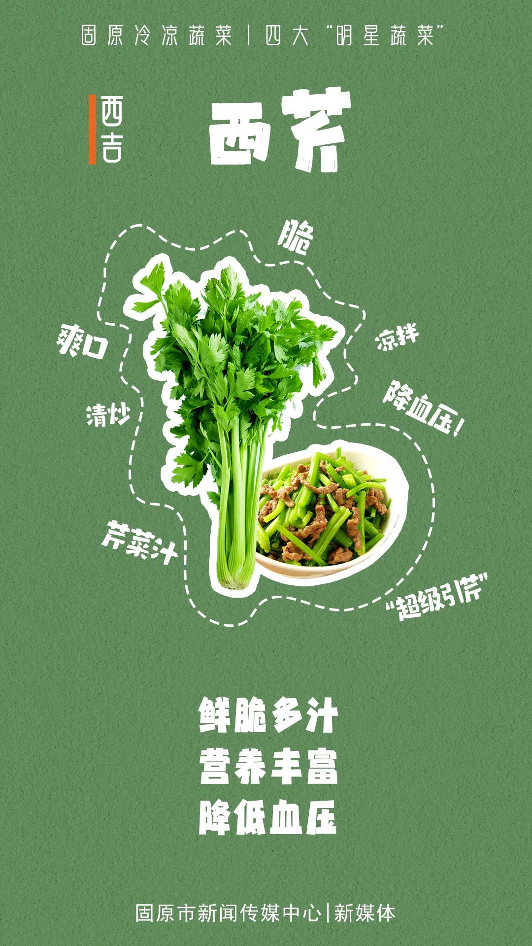固原冷凉蔬菜，凭啥“C”位出道