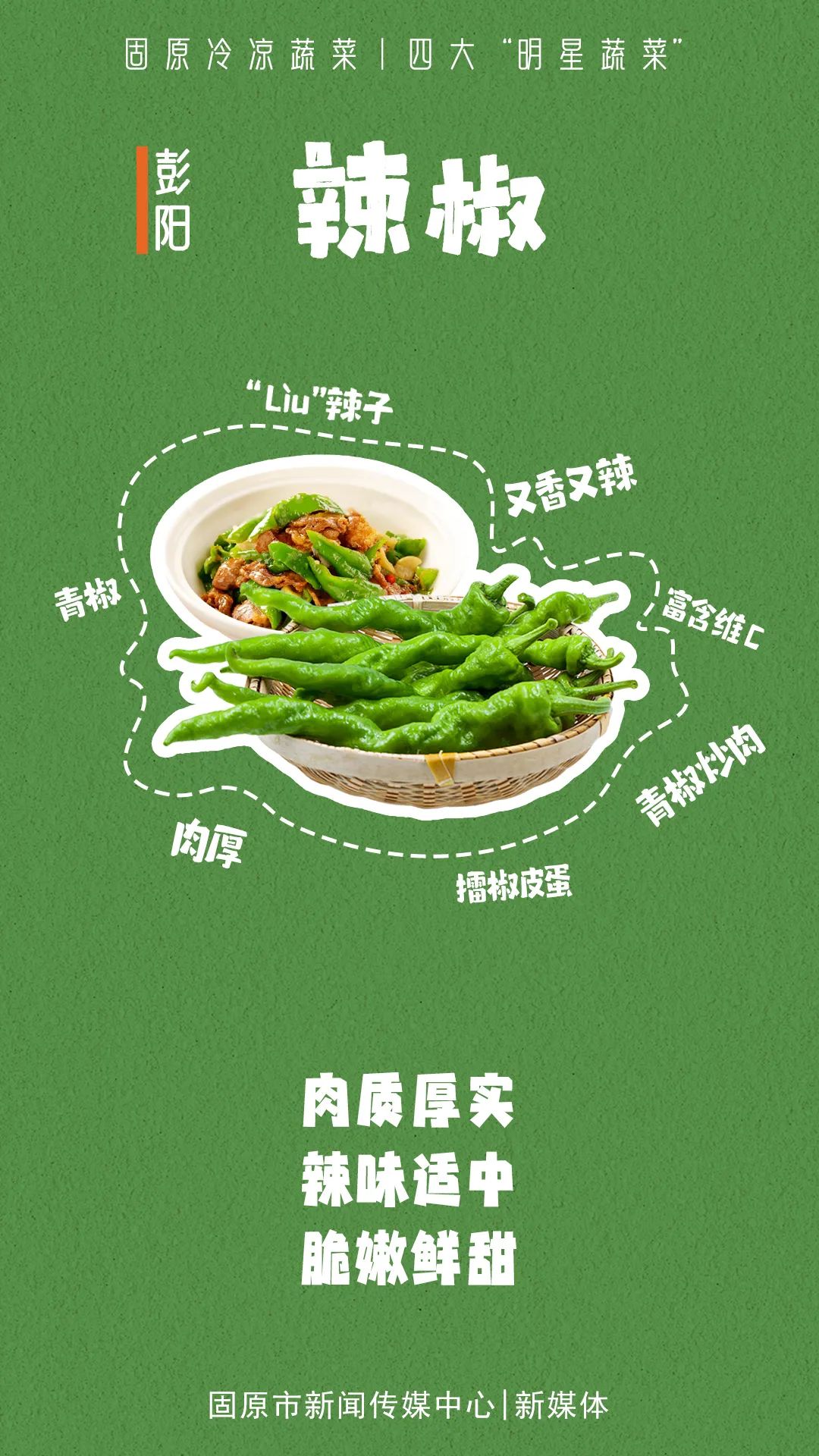 固原冷凉蔬菜，凭啥“C”位出道