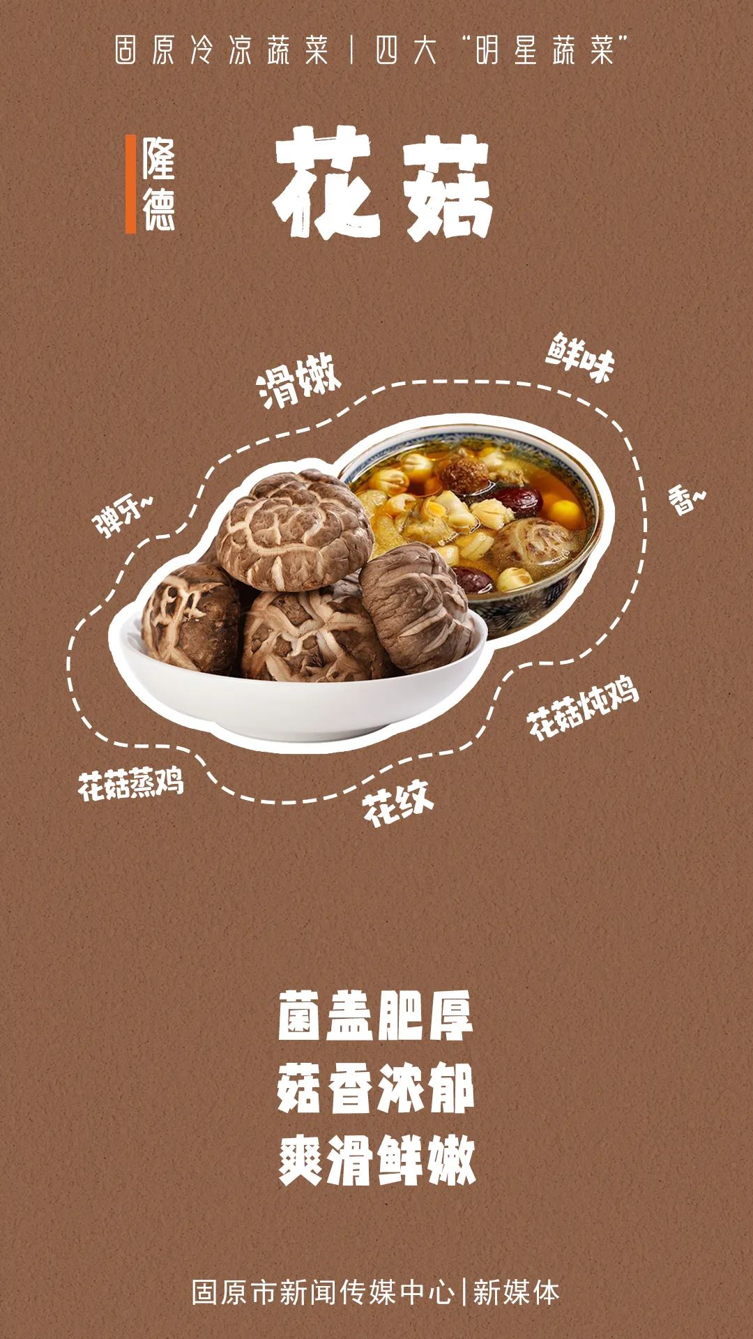 固原冷凉蔬菜，凭啥“C”位出道