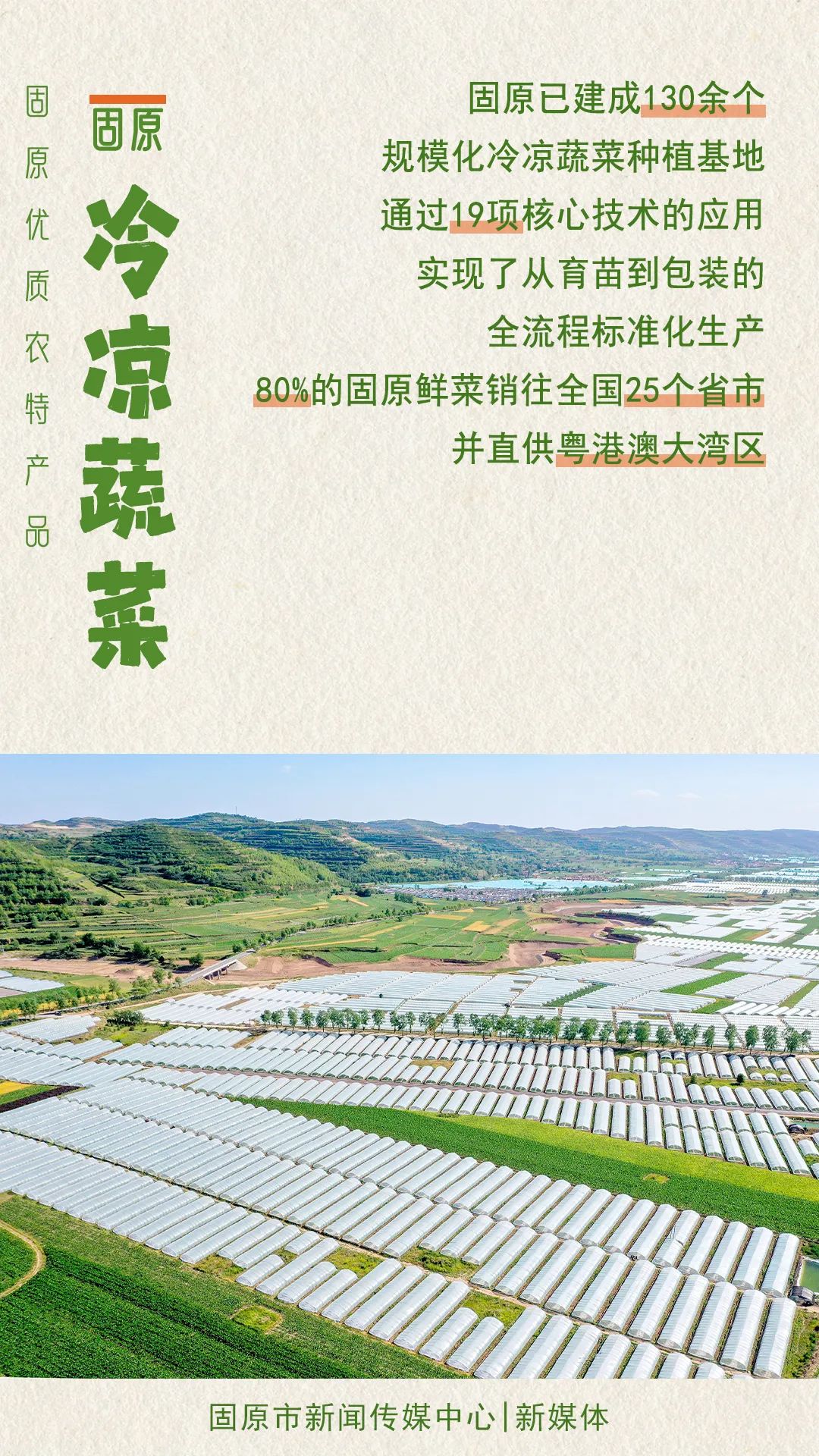 固原冷凉蔬菜，凭啥“C”位出道