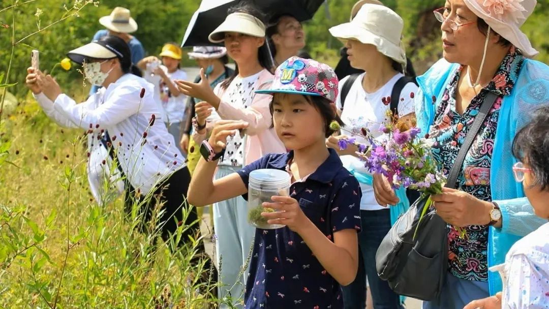 22℃清凉！阿尔山向热浪中的你发出避暑邀约