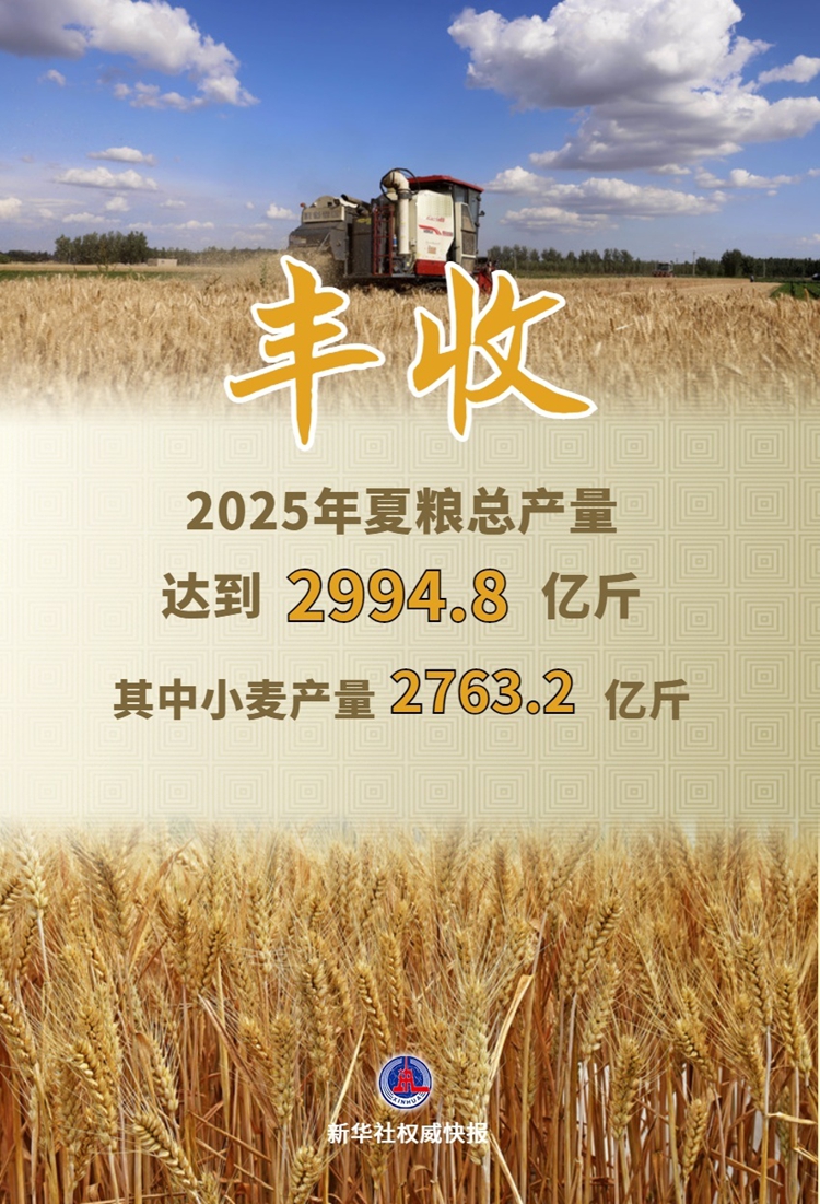 今年我国夏粮实现稳产丰收