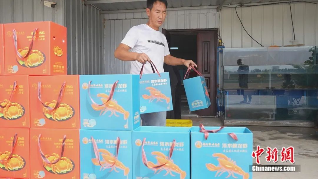 沙漠里养出“澳龙”？新疆这座小城让荒漠变“虾塘”