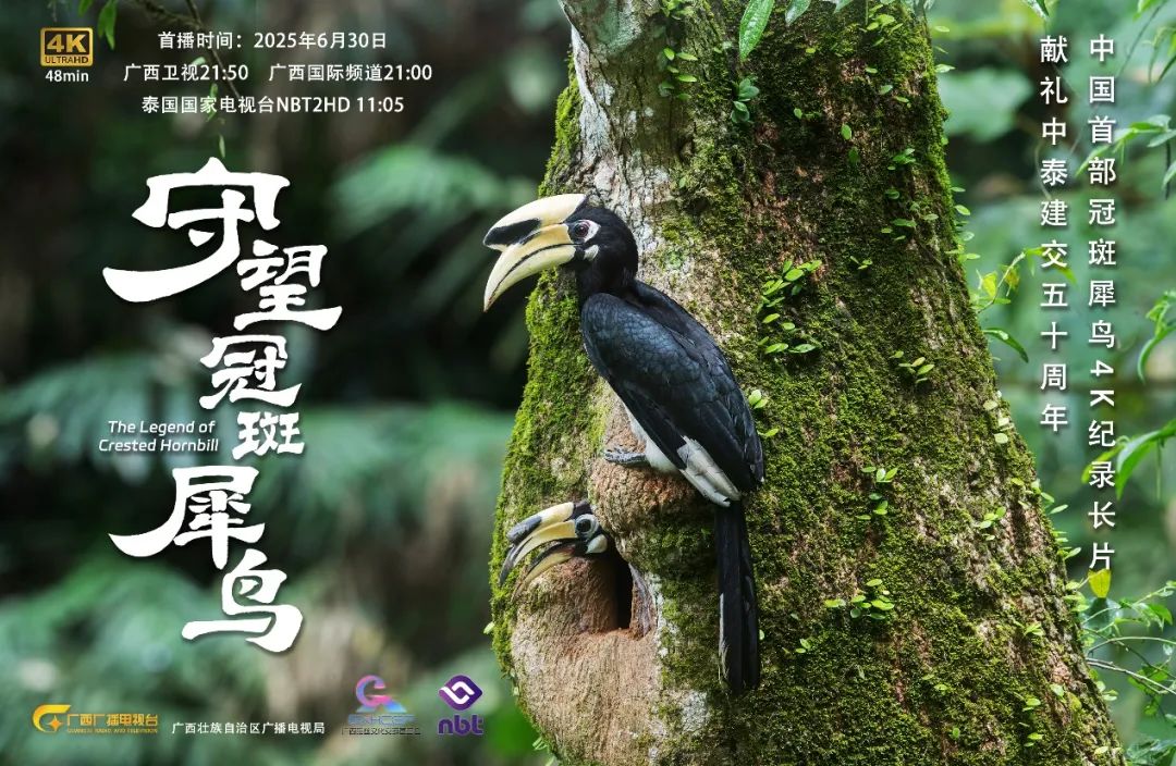 两部中国—东盟合拍计划扶持纪录片中泰同步播映　以跨国生态合拍展现生物多样性保护区域合作成果
