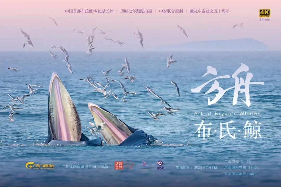 两部中国—东盟合拍计划扶持纪录片中泰同步播映　以跨国生态合拍展现生物多样性保护区域合作成果
