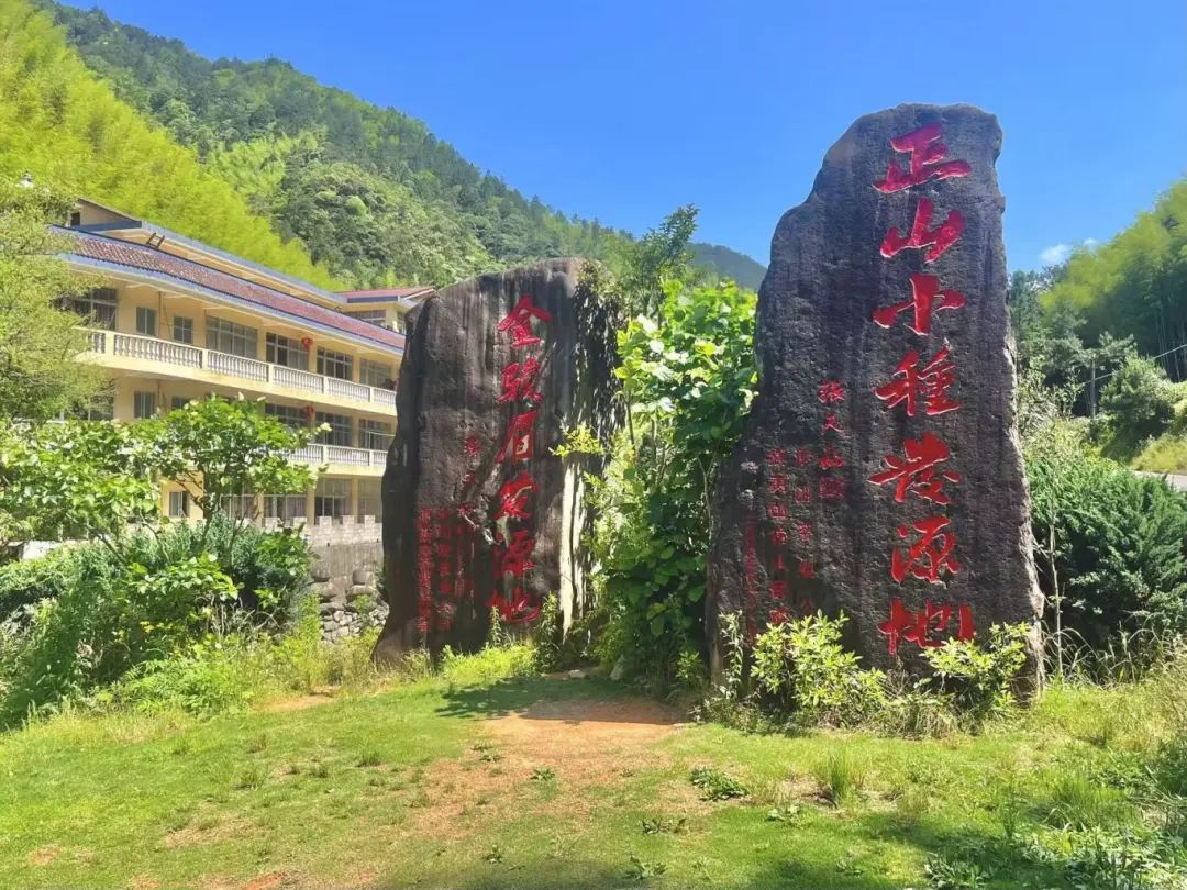 当青春创意邂逅国家公园！58名大学师生到武夷山桐木村驻村改造