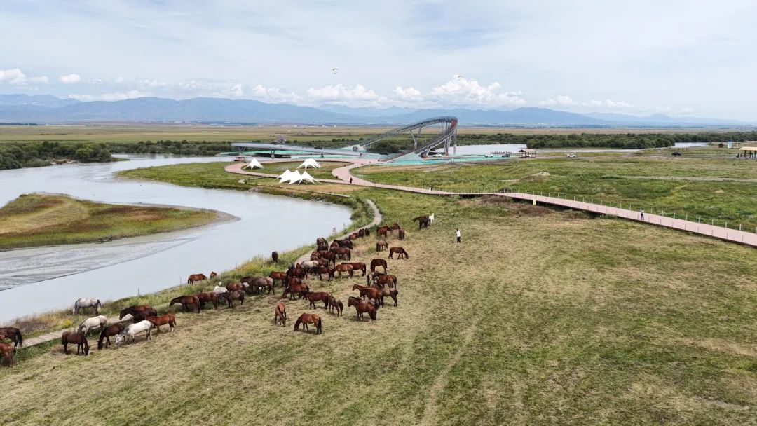 昭苏：“彩虹爱心桥”架起全域旅游新地标