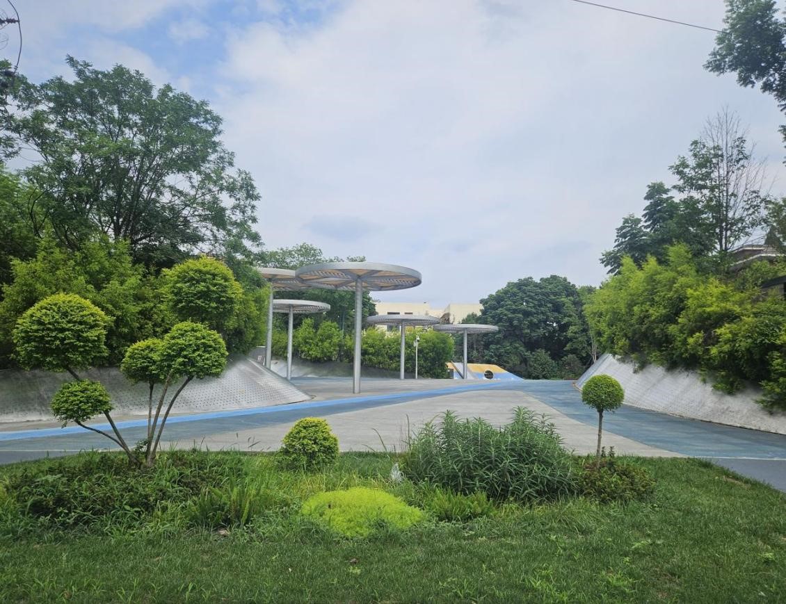 成都高新区桂溪街道“净优亮美”绘新卷