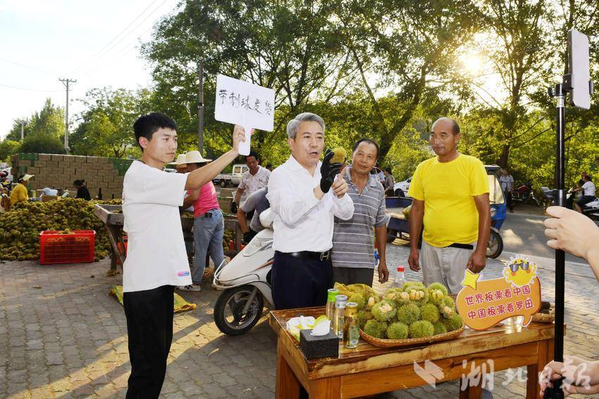 【党旗领航·大别山头雁风采】人口回流500+，燕窝湾村做对了什么？