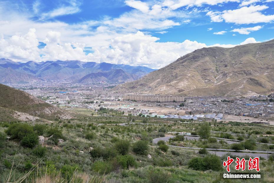 （辉煌60载 魅力新西藏）世界屋脊上的“绿色奇迹”：拉萨南北山绿意盎然