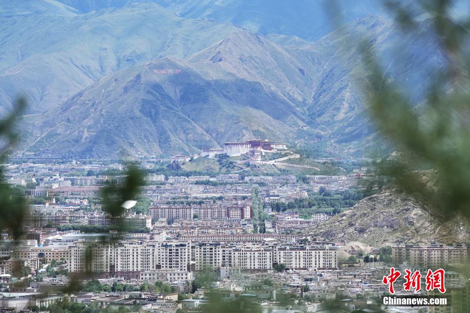 （辉煌60载 魅力新西藏）世界屋脊上的“绿色奇迹”：拉萨南北山绿意盎然