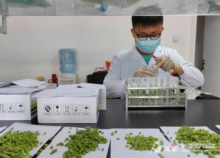 我的新疆故事丨菜篮子里的民生跃迁
