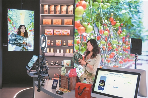 “湾”有引力，广西是搭便车还是开新路？
