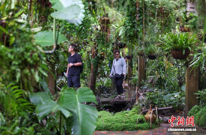 中老联合设立300万亩边境联合保护区 跨境守护生物多样性