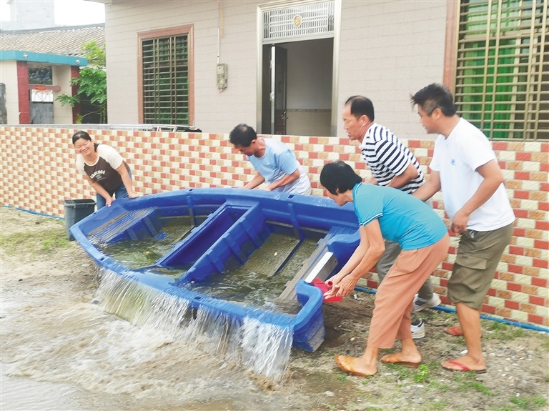 海口动员全民参与防蚊灭蚊行动