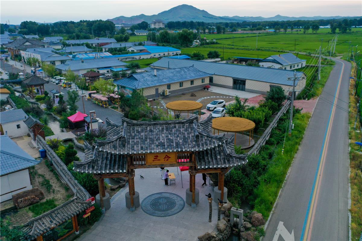 三合村，振兴有“稻”