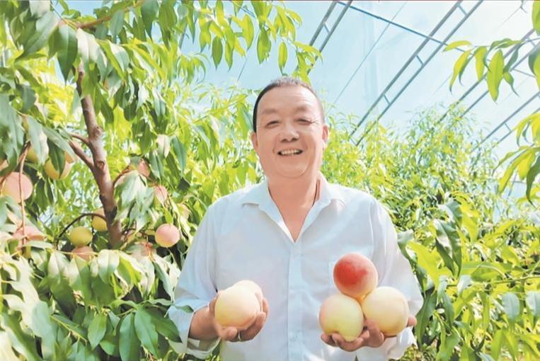 青海乐都区：高原“桃中仙子”激活乡村振兴