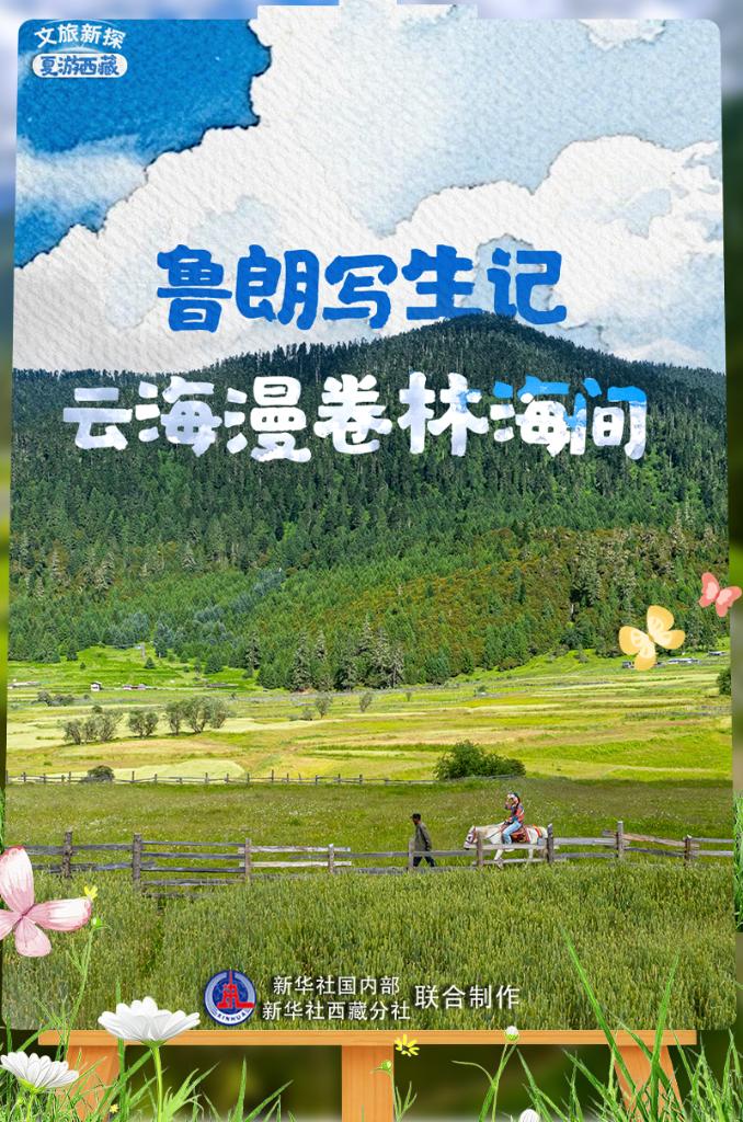 鲁朗写生记：云海漫卷林海间