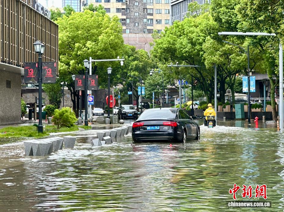 “竹节草”登陆浙江 直击宁波城乡实况
